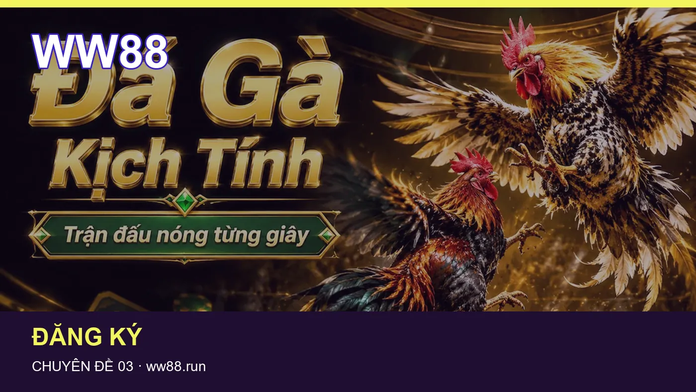 Hình minh họa bài viết WW88