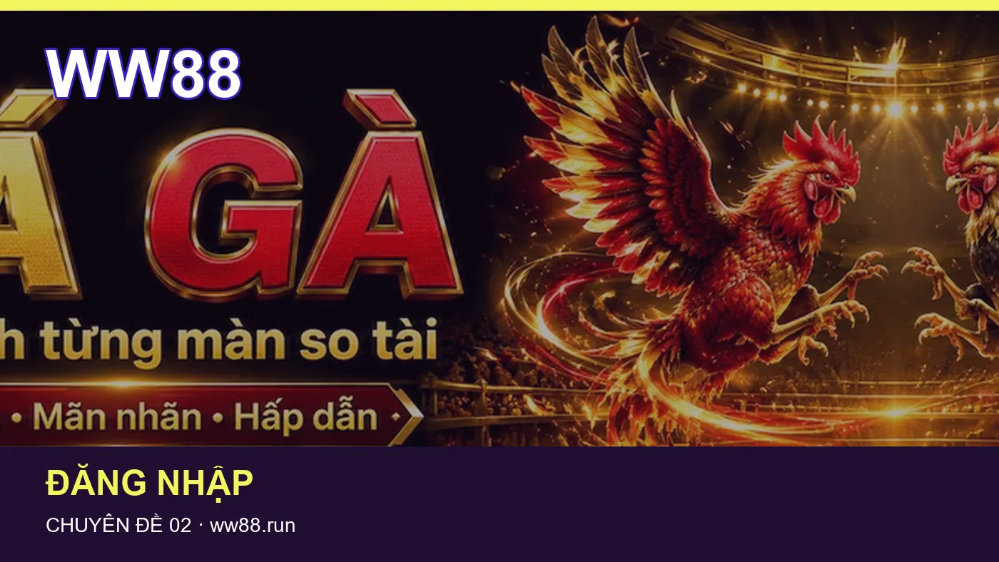 Bảo vệ dữ liệu cá nhân khi tìm hiểu Tài khoản tại WW88