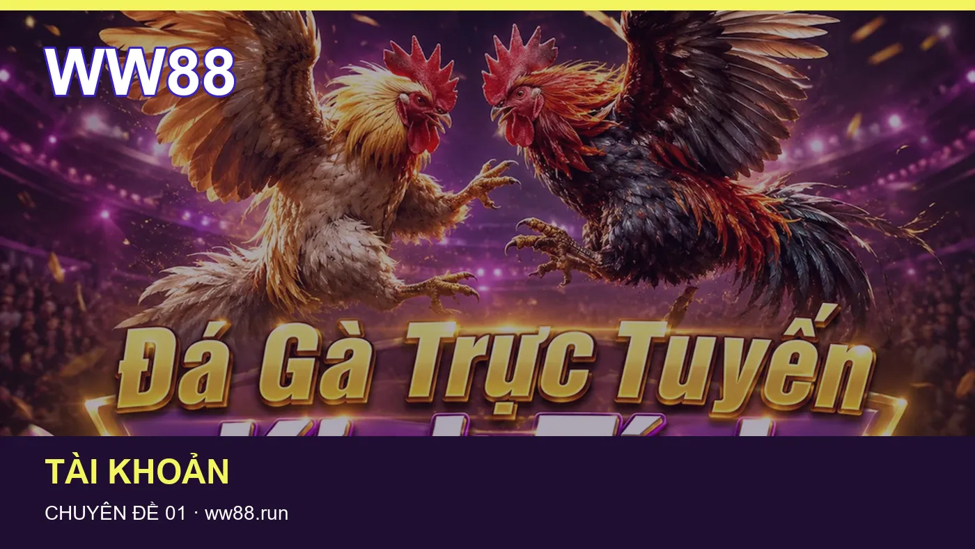 Hình minh họa bài viết WW88