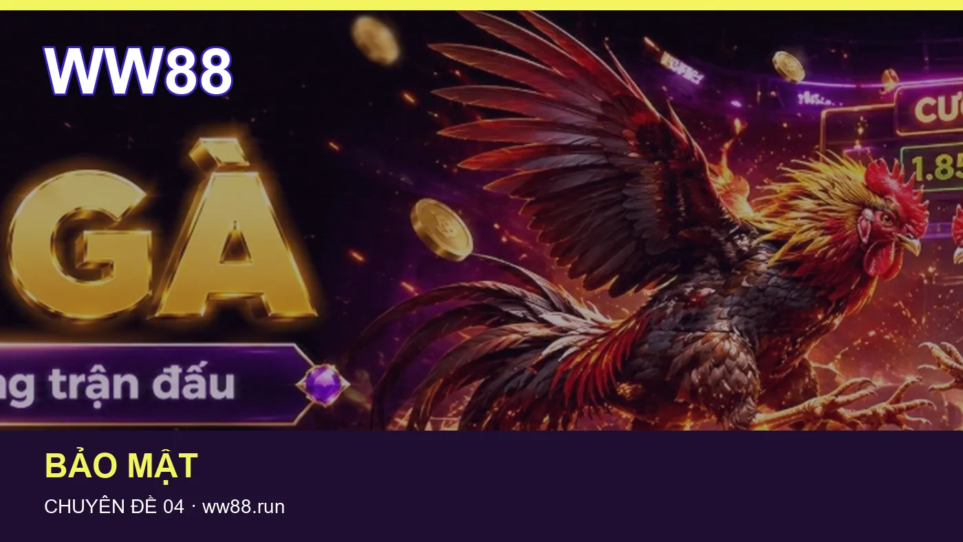 Hình minh họa bài viết WW88